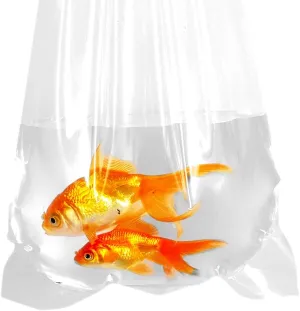 Fishery Bags 6 Inches Leak Proof Rounded Bottom Corners Clear Plastic Fish Bags for Marine and Tropical Fish Transport. (6" x 16" / 1000 Pack / 2 Mil)