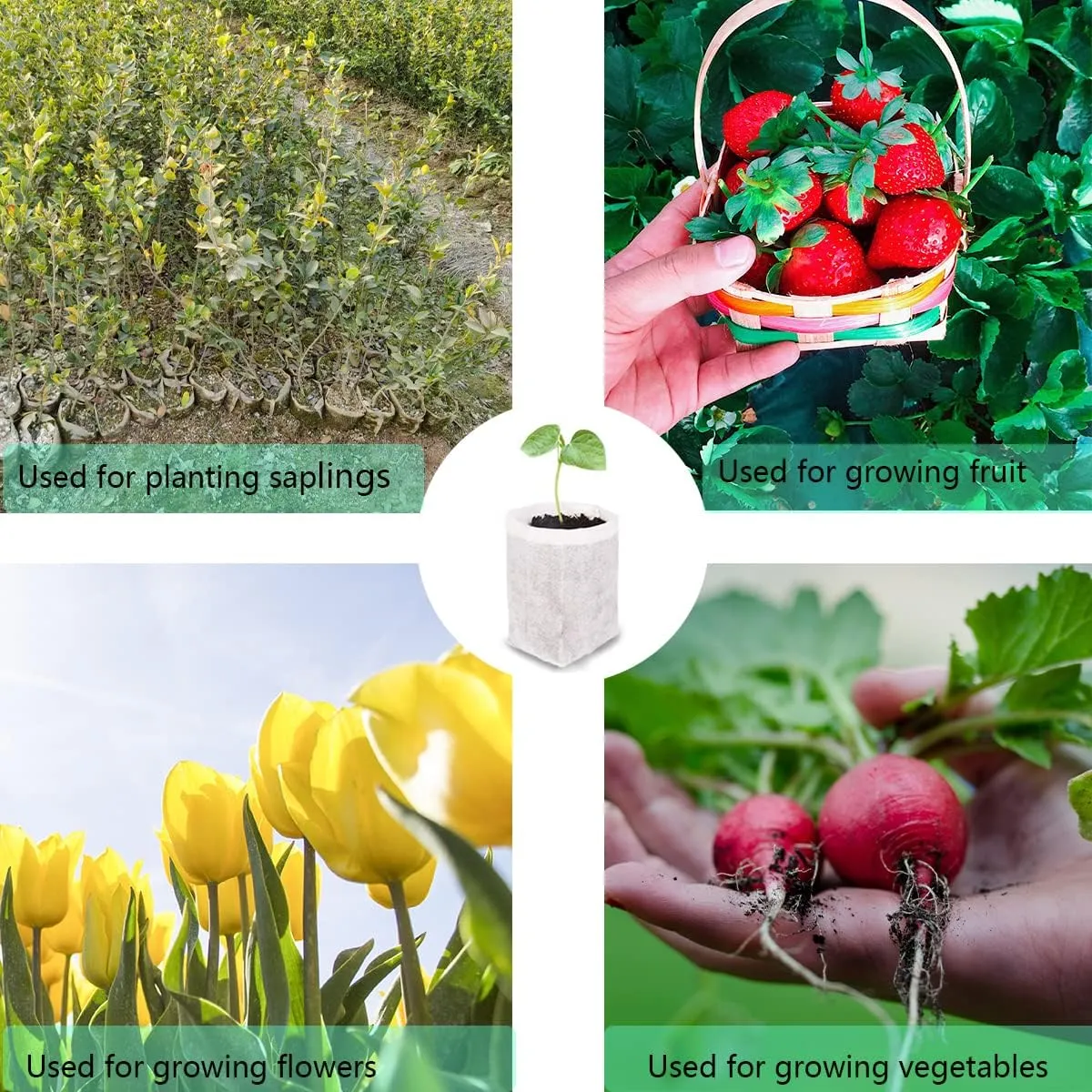 gardtree Plant Nursery Bags 6.3” x 7” 200PCS, Non-Woven Biodegradable Plant Grow Bags Fabric Seedling Starter Bags for Vegetable Flower Fruit Saplings Tree, Home Garden Supply