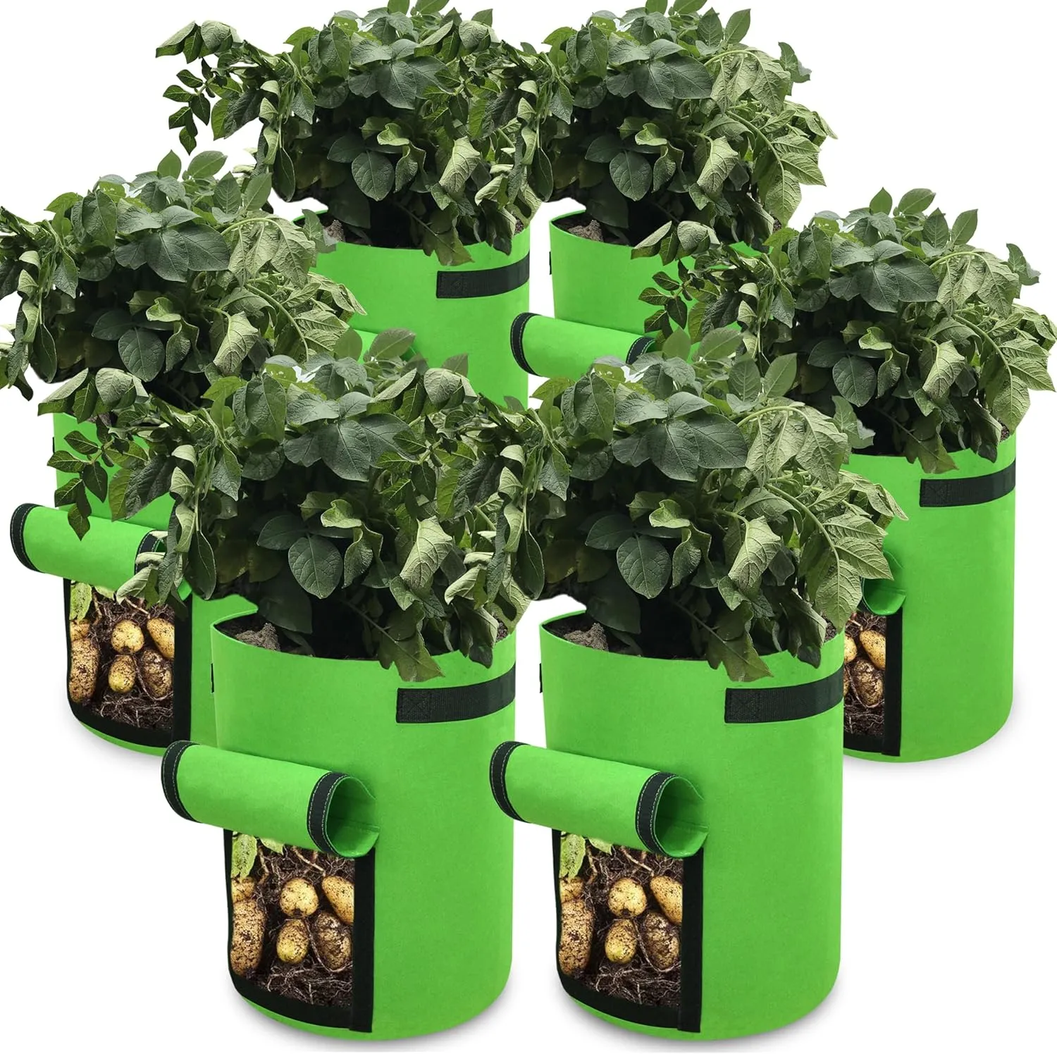 Gardzen 6 Pack BPA-Free 10 Gallon Vegetable Grow Bags with Access Flap and Handles, Suitable for Planting Potato, Taro, Beets, Carrots, Onions, Peanut