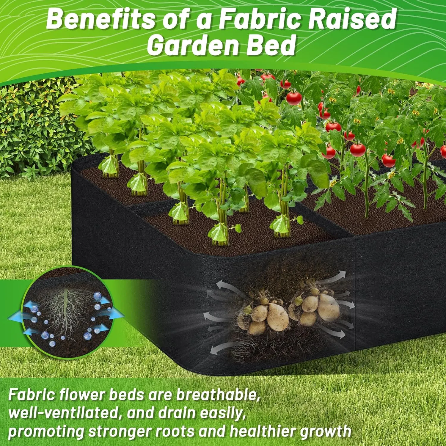 GREANER Fabric Raised Garden Bed, 6x3FT-8 Grid Garden Bed to Grow Vegetables, Heavy Plant Grow Bags for Growing Vegetables Flowers Herbs Fruits Potatoes