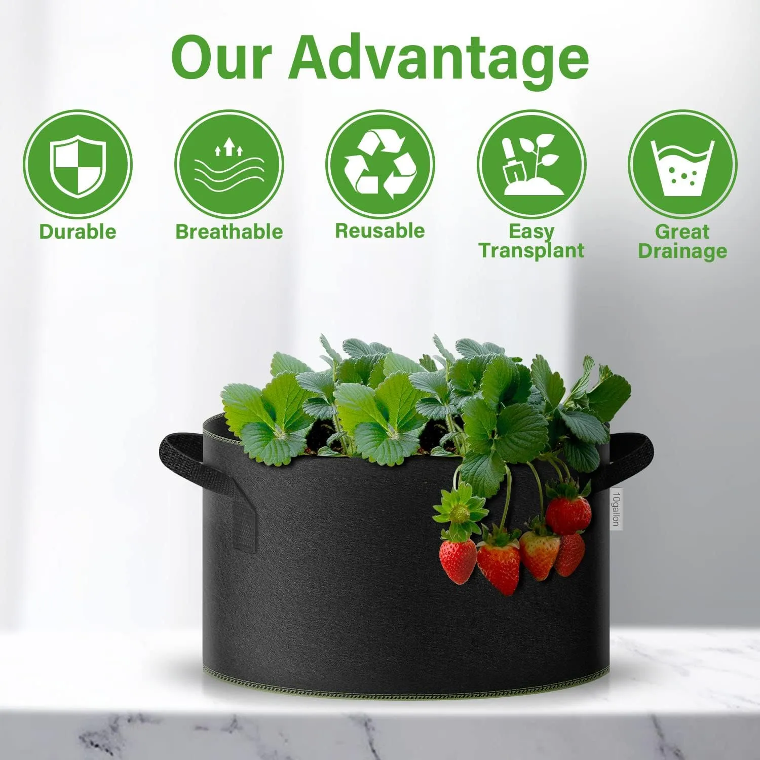 iPower 5-Gallon 10-Pack Grow Bag Thickened Nonwoven Fabric Pots Heavy Duty Aeration Container with Strap Handles for Garden and Planting Vegetable Flowers, Black with Green Stitch Sewing