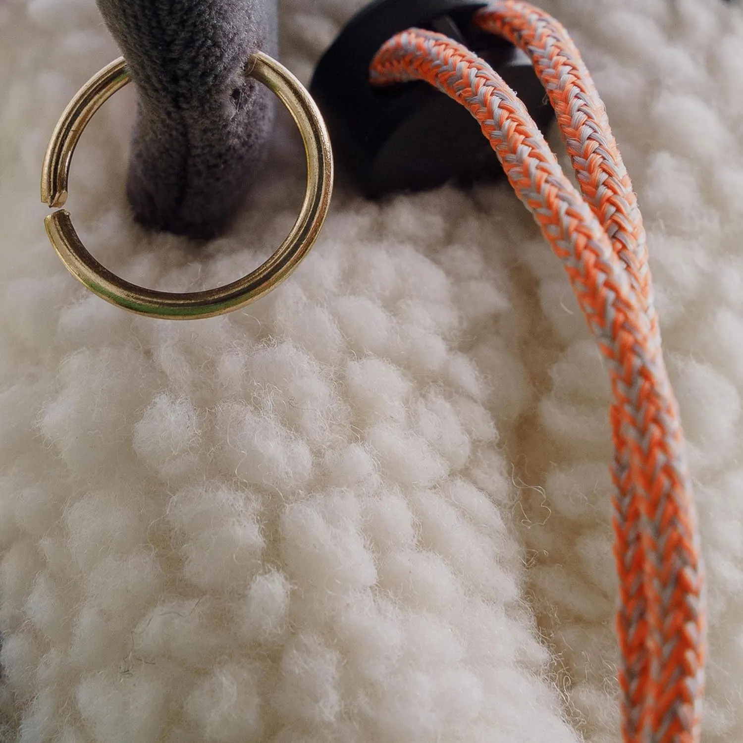 Rock Climbing Chalk Bags