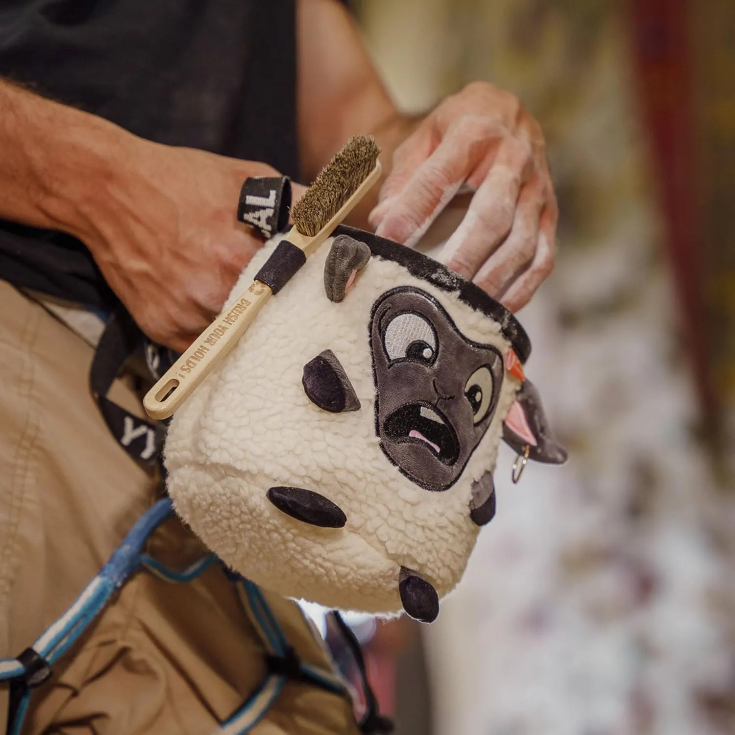 Rock Climbing Chalk Bags
