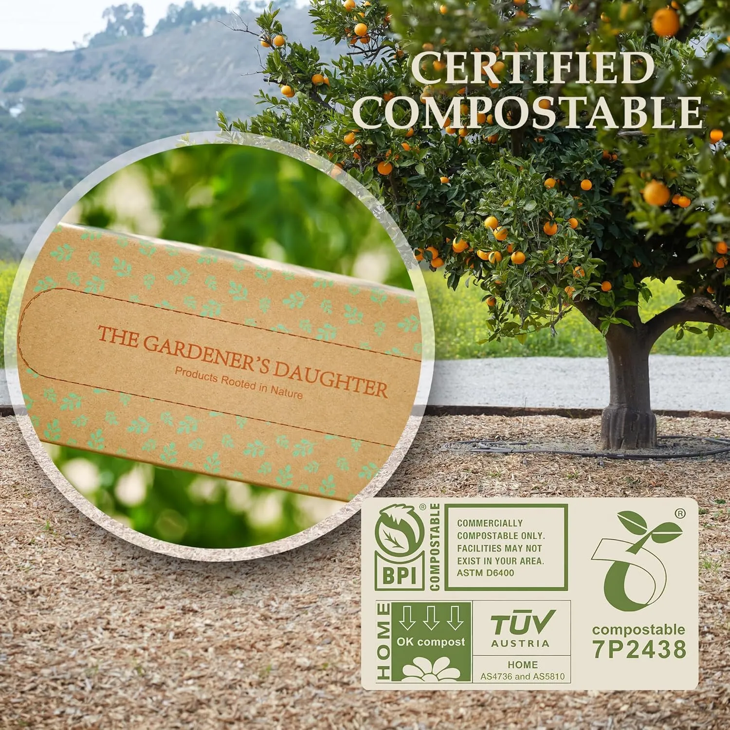 The Gardener's Daughter Compostable Trash Bags - 13 Gallon, 30 Count, Extra Strength, White, Drawstring Kitchen Waste Bag, BPI and TUV Certified, OK Home Compostable - (Evergreen)