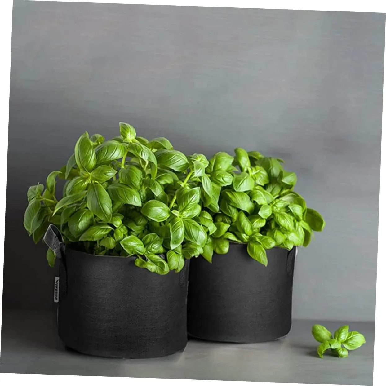 VANZACK 5pcs Grow Bag for Raise Potting Growing Nursery Grown Grower Horticultural Gardening Planting and Indoor Bags Plants Non-Woven Planter Flower Planter Non-Woven Bag Non-Woven Fabric